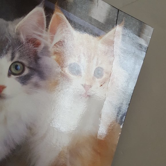 School Supplies Folder, Pencil Box, Wide-Ruled Paper, Colored Pencils *AS IS - Picture 7 of 15